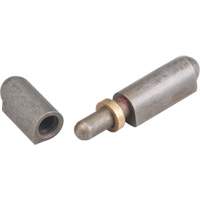 Weld-On Hinge, 0.315" Dia. x 1.969" L, Mild Steel w/Fixed Steel Pin TTV434 | Dufferin Supply