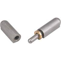Weld-On Hinge, 0.453" Dia. x 2.756" L, Mild Steel w/Fixed Steel Pin TTV435 | Dufferin Supply