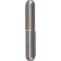 Weld-On Hinge, 0.512" Dia. x 3.15" L, Mild Steel w/Fixed Steel Pin TTV436 | Dufferin Supply