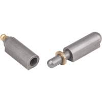 Weld-On Hinge, 0.512" Dia. x 3.15" L, Mild Steel w/Fixed Steel Pin TTV437 | Dufferin Supply