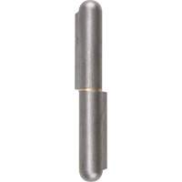 Weld-On Hinge, 0.787" Dia. x 5.906" L, Mild Steel w/Fixed Steel Pin TTV442 | Dufferin Supply