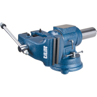 Multi-Purpose Bench Vise, 5" Jaw Width, 3-1/10" Throat Depth Dufferin Supply