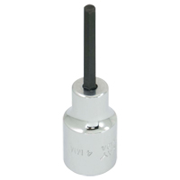 Embout de rechange, 5 mm x 1-1/5" lo, Prise 3/8" Dufferin Supply