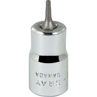 Bit Socket, Torx&reg;, T8 x 2-1/8" L, 3/8" Drive Dufferin Supply