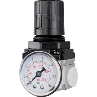Air Regulator (Gauge Included), 1/4" NPT, 220 PSI Max. PSI, Modular Dufferin Supply