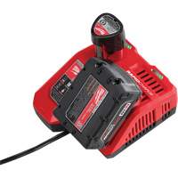Chargeur rapide M18 & M12, 18 V, Lithium-ion Dufferin Supply