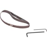 Ponceuse &agrave; bande, 13" - 3/8", 16 pi³/min, 1/4" NPTF Dufferin Supply