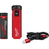 Trousse d'alimentation et de chargeur USB Redlithium, 4 V, Lithium-ion Dufferin Supply