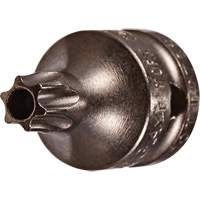 Embout &agrave; ins&eacute;rer, Torx inviolable, 8 x 3/4" lo, Prise 1/4" Dufferin Supply