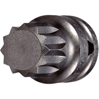 Embout &agrave; ins&eacute;rer, Triple carr&eacute;, 5 x 3/4" lo, Prise 1/4" Dufferin Supply
