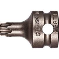 Embout &agrave; ins&eacute;rer, Torx inviolable, 25 x 1" lo, Prise 3/8" Dufferin Supply