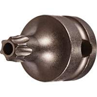 Embout &agrave; ins&eacute;rer, Torx inviolable, 25 x 1" lo, Prise 3/8" Dufferin Supply