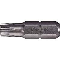 Embout inviolable Dufferin Supply