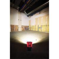 Projecteur d'illumination montable M12 ROVER, DEL, 250 W, 1000 lumens Dufferin Supply