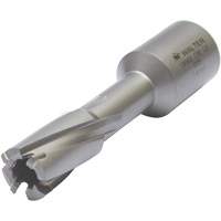 Core Cut Annular Cutter with Weldon Shank, 12 mm Diameter, Carbide, 30 mm Depth of Cut, 3/4" Shank Dufferin Supply