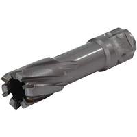 Universal Shank Annular Cutter, 1/2" Diameter, Carbide, 1" Depth of Cut, 3/4" Shank Dufferin Supply