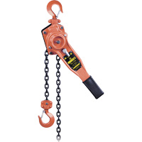 KLP-75-10 KLP Series Heavy-Duty Lever Chain Hoist, 10' Lift, 1500 lbs. (0.75 tons) Capacity Dufferin Supply