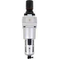 AFRH34 Air Filters - Regulator Combination Dufferin Supply