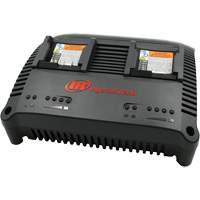 Chargeur universel s&eacute;rie IQV, 12 V/20 V, Lithium-ion Dufferin Supply