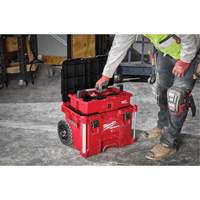 PACKOUT Rolling Tool Box, 18" x 22" x 19-1/2", Black/Red Dufferin Supply