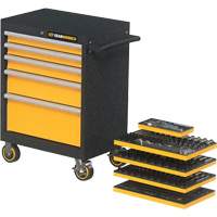 Mechanics Tool Set in Modular Foam Trays with Storage Unit, 247 Pieces Dufferin Supply