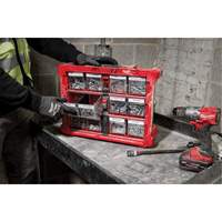 Organisateur PACKOUT &agrave; bac inclinable, 15-1/5" x 19-7/10" x 6-7/10", Noir/Rouge Dufferin Supply