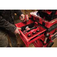 Diviseur pour boîtes &agrave; outils &agrave; tiroirs Packout Dufferin Supply