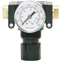 MODULAIR 200 Acetal Piston Regulator, 1/4" NPT, 150 PSI Max. PSI, In Line/Modular Dufferin Supply