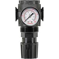 MODULAIR 300 Zinc Diaphragm Regulator, 3/8" NPT, 300 psi Max. PSI, In Line/Modular Dufferin Supply