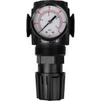 MODULAIR 300 Compressed Air Regulator, 1/2" NPT, 300 psi Max. PSI, In Line/Modular Dufferin Supply