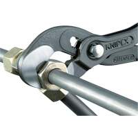Raptor Pliers, 10" Dufferin Supply