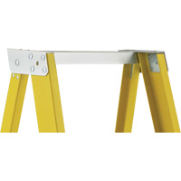 Industrial Heavy-Duty Platform Stepladders (6500 Series), 6', 300 lbs. Cap. Dufferin Supply