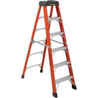 Industrial Extra Heavy-Duty Stepladders (6800 AA Series), 6', Fibreglass, 375 lbs. Capacity, Type 1AA Dufferin Supply