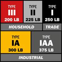 Escabeau avec plateau &agrave; peinture, 10', Aluminium, Capacit&eacute; 225 lb, Type 2 Dufferin Supply