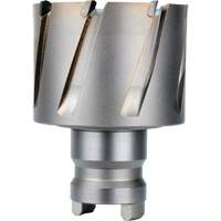 Fraise avec tenon &agrave; changement rapide Drive Hawg, Diam&egrave;tre de 2", Acier, Profondeur de la coupe de 1" Dufferin Supply