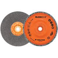 Blendex U™ Finishing Cup Disc, 5" Dia., Fine Grit, Silicon Carbide VV859 | Dufferin Supply