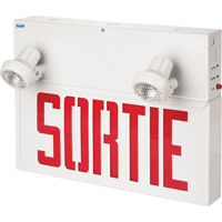 Stella Combination Signs - Sortie, LED, Hardwired, 17-1/2" L x 12-1/2" W, French XB932 | Dufferin Supply
