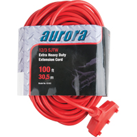 Cordon rallonge en vinyle, Ext&eacute;rieur, SJTW, AWG 12/3, 15 A, 3 prise(s), 100' Dufferin Supply
