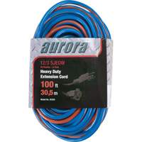 TPE-Rubber Extension Cord With Light Indicator, All-Weather, SJEOW, 12/3 AWG, 15 A, 100' Dufferin Supply