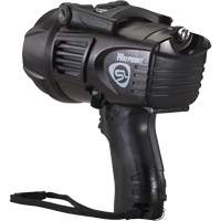 Projecteurs style pistolet Waypoint, DEL, 550 Lumens, Piles C Dufferin Supply