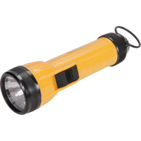 Lampe de poche AFL100, DEL, 35 lumens, Piles D Dufferin Supply