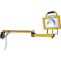 Heavy-Duty Dock Light, 40" Arm, 38 W, LED Lamp, Metal Dufferin Supply