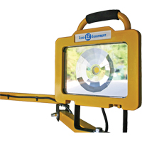 Heavy-Duty Dock Light, 40" Arm, 38 W, LED Lamp, Metal Dufferin Supply