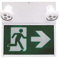 Running Man Exit Sign, LED, Battery Operated/Hardwired, 12" L x 12 1/2" W, Pictogram XE664 | Dufferin Supply