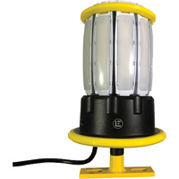 Projecteurs portatifs, DEL, 120 W, 13 000 lumens, Boîtier en Aluminium Dufferin Supply