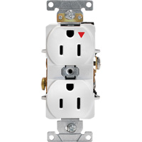 Industrial Grade Isolated Duplex Outlet Dufferin Supply