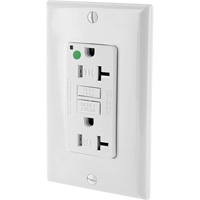 SmartlockPro&reg; Extra Heavy-Duty Self-Test GFCI Receptacle Dufferin Supply