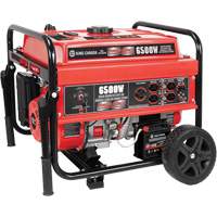 Electric Start Gas Generator with Wheel Kit, 6500 W Surge, 5000 W Rated, 120 V/240 V, 20 L Tank XI537 | Dufferin Supply