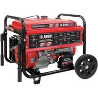 Gasoline Generator with Electric Start, 10000 W Surge, 7500 W Rated, 120 V/240 V, 25 L Tank XI762 | Dufferin Supply