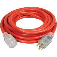 Generator Extension Cord with Quad Tap, 10 AWG, 30 A, 4 Outlet(s), 25' XI765 | Dufferin Supply